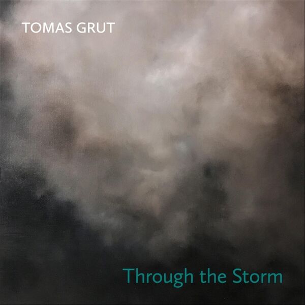 Cover art for Through the Storm