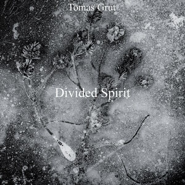 Cover art for Divided Spirit