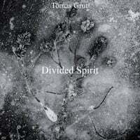 Divided Spirit